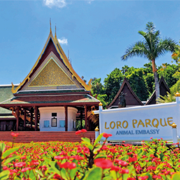 Loro Parque - immagine 21